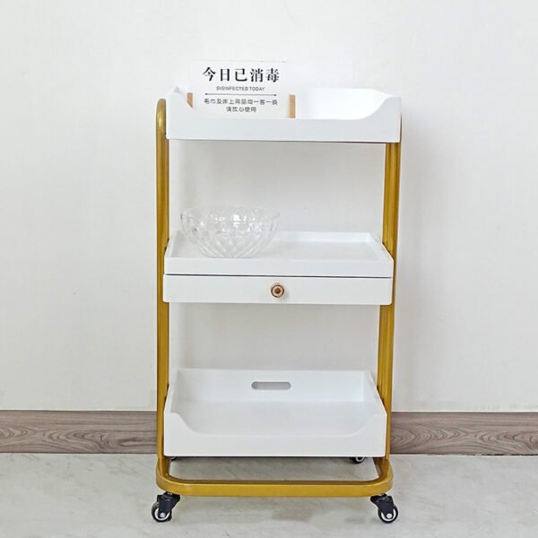 H1cd32d0a5e5f4aebb045186e690aa4d5w Mueble Multifuncional para Salón de Belleza, Carrito de Belleza con Estantes, Carrito Móvil para Spa de Belleza
