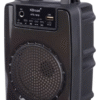 KTS-1919 RADIO PARLANTE USB/SD/TF/BT