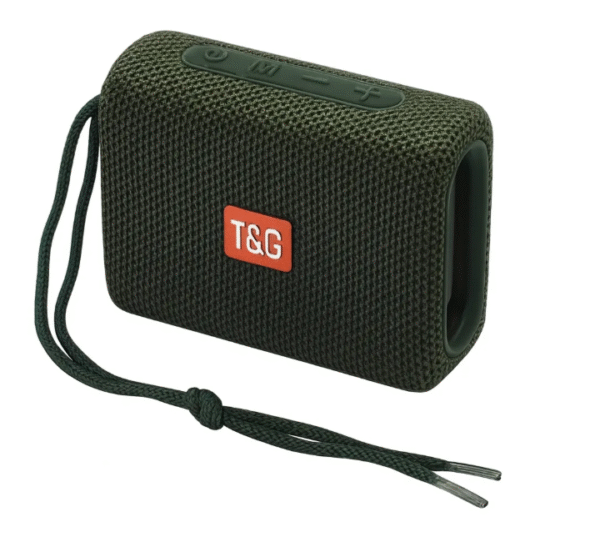TG-313 RADIO PARLANTE USB/SD/TF/BT MARCA T&G SURTIDO